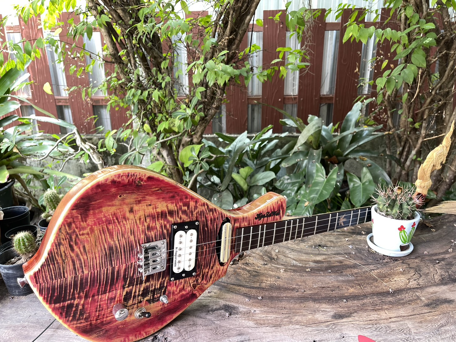 Handmade Phin Guitars